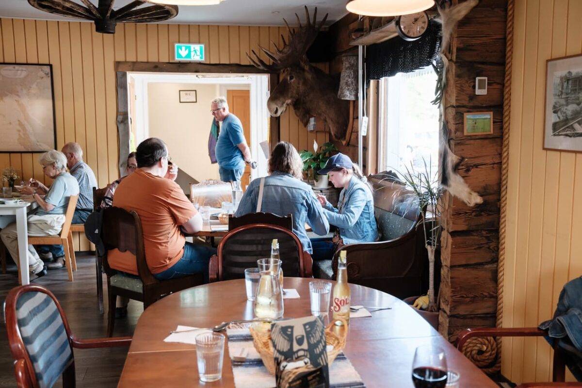 Gäster som äter på en rustik restaurang med ett älghuvud monterat på väggen.